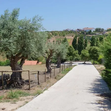 בקתה Casa Alfazema, Quinta Carmo - - Nazare אלקובאקה