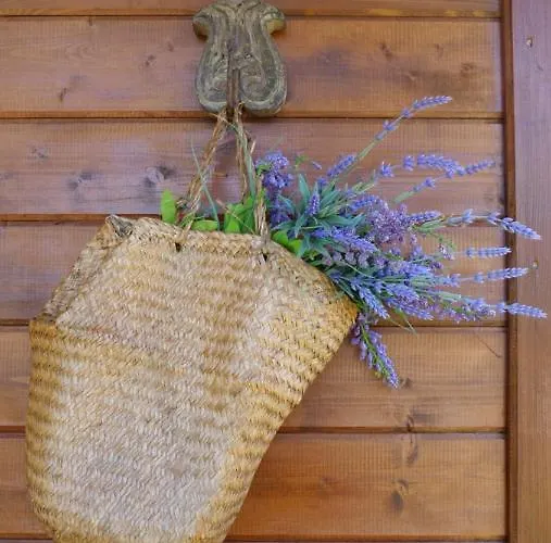 Casa Alfazema, Quinta Carmo - - Nazaré