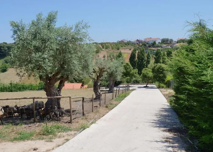 Chalé Casa Alfazema, Quinta Carmo - - Nazaré Alcobaça
